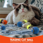 Interactive Cat Toy Ball Automatic Rolling Pet Toy USB
