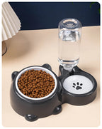 Pet Bowl 2-in-1 Auto Water Feeder, Tilted Elevated Cat Dog Bowl