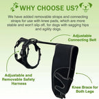 Orthopedic Brace for Dogs Pet Joint Hip Support Brace Adjustable