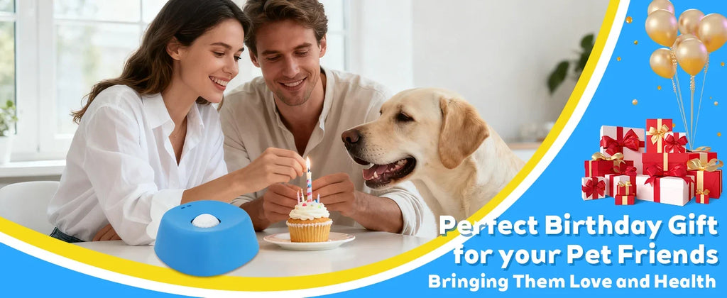 Anti-Choking Slow Feeder Dog Bowl Non-Slip 3/4 Cup - Lick Toy for
