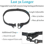 Adjustable Hands-Free Bungee Dog Leash