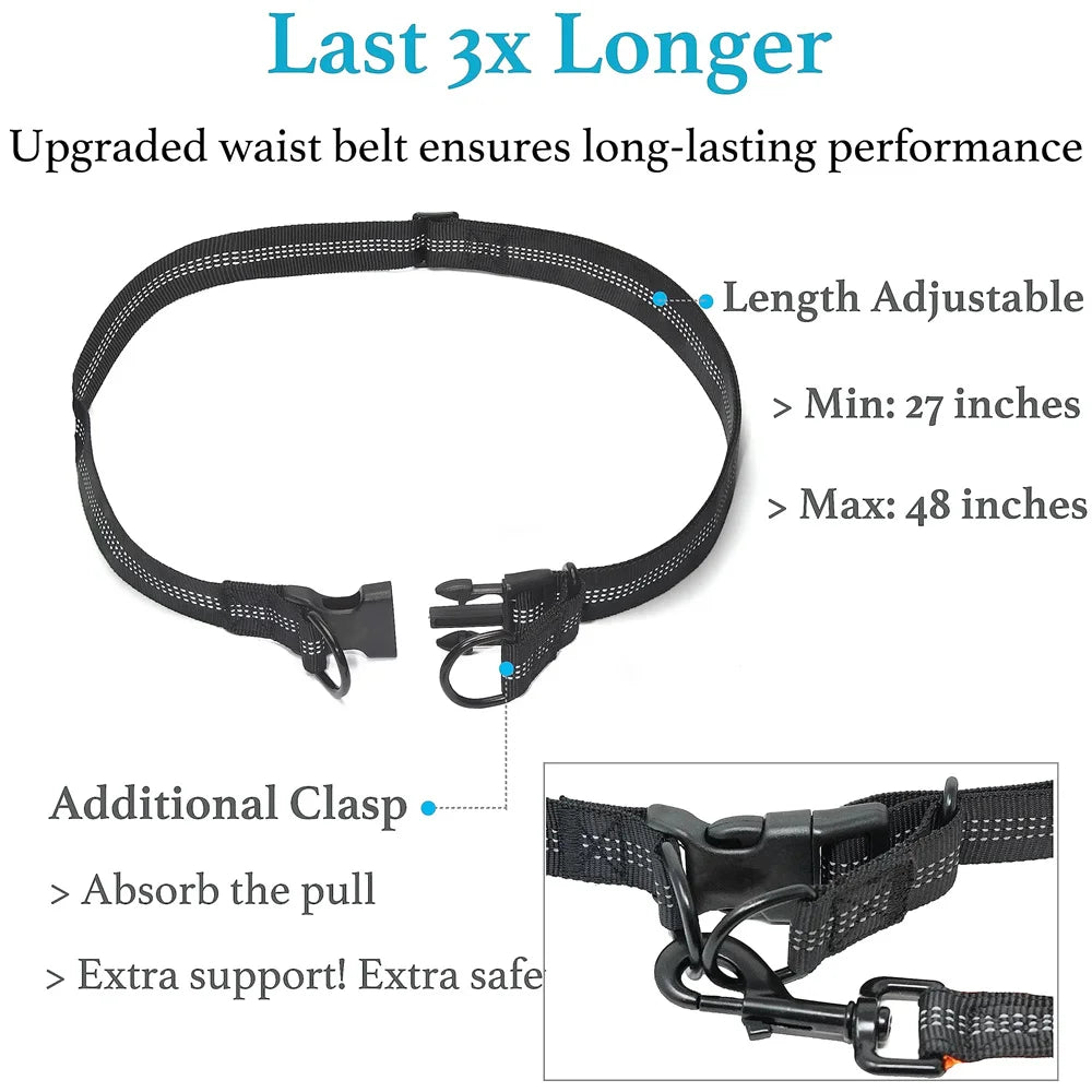Adjustable Hands-Free Bungee Dog Leash