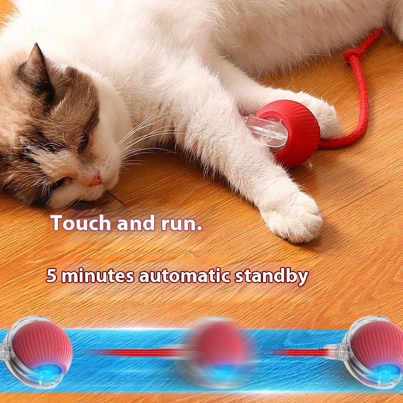 New Electric Cat Ball Toys Automatic Rolling Ball with Teaser Bird