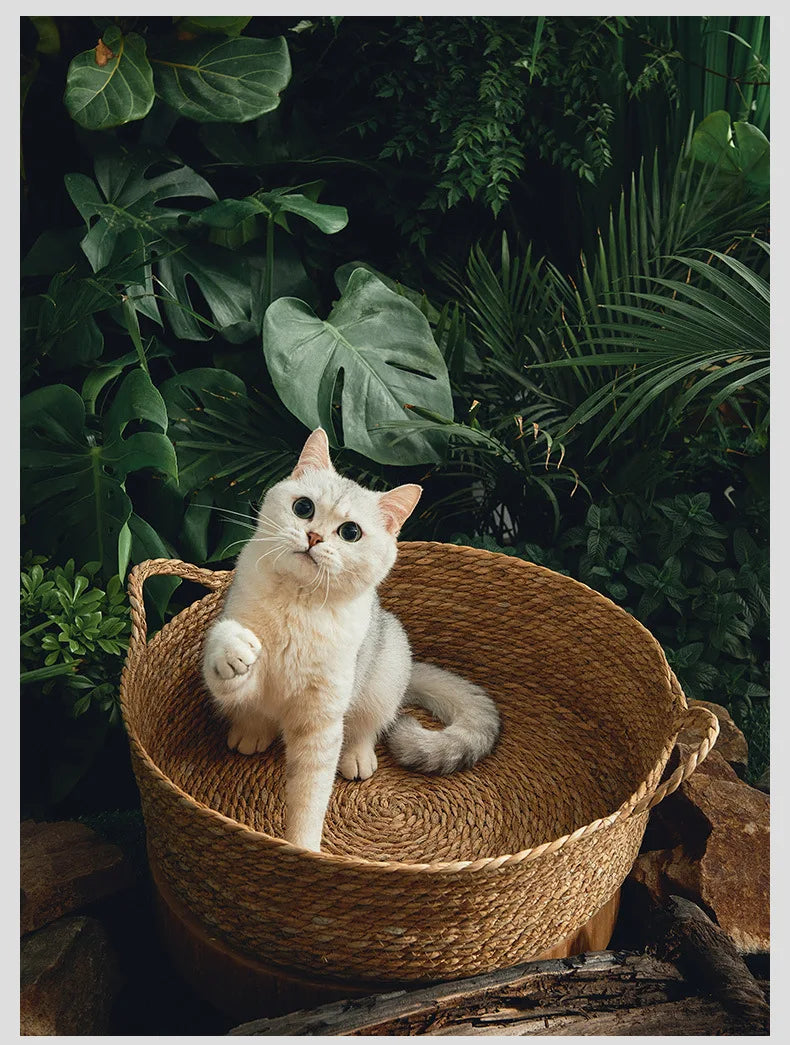 Ouzey Rattan Weaving Basket For Cat Comfortable Sleeping Pet Dog