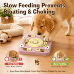 Dog PUzzle Feeder Interactivetreatdispensing Slow Feeder Bowl, Iq
