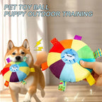 G1 Interactive Ball Toys with Grab Tabs Dog Bite Chew Balls Pets
