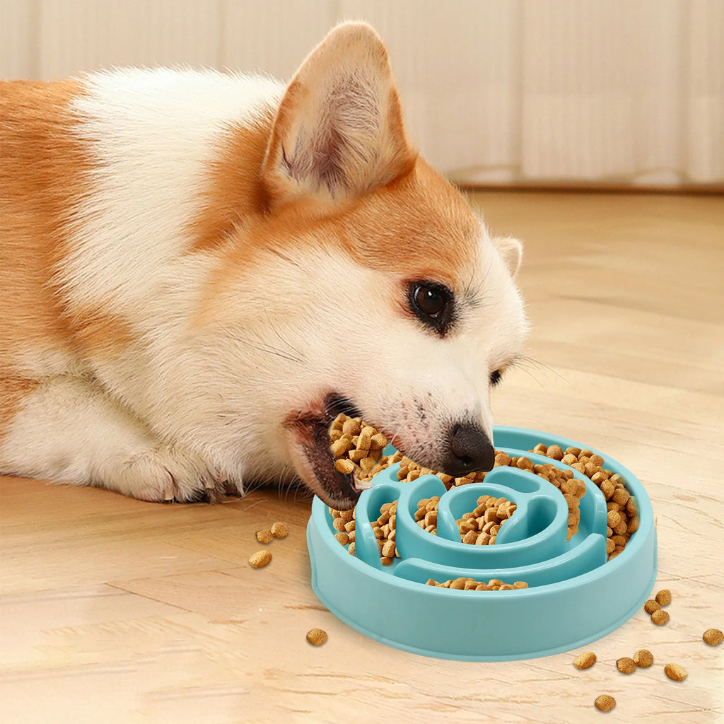 Pet Dog Slow Feeder Bowl Eco Dog Bowl Fun Non Slip Anti-Gulping