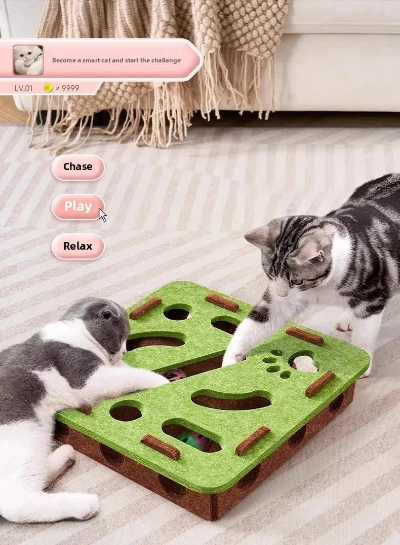Cat PUzzle Toy Felt PUzzle Box Cat Exercise Toy with Ball Indoor