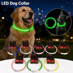 Luminous Pet Dog Collar Waterproof LED Dog Collar Rechargeable