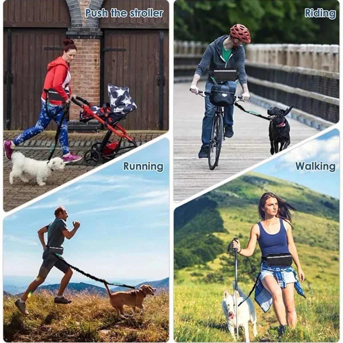 Adjustable Hands-Free Bungee Dog Leash