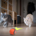 Interactive Cat Toy Ball Automatic Rolling Pet Toy USB