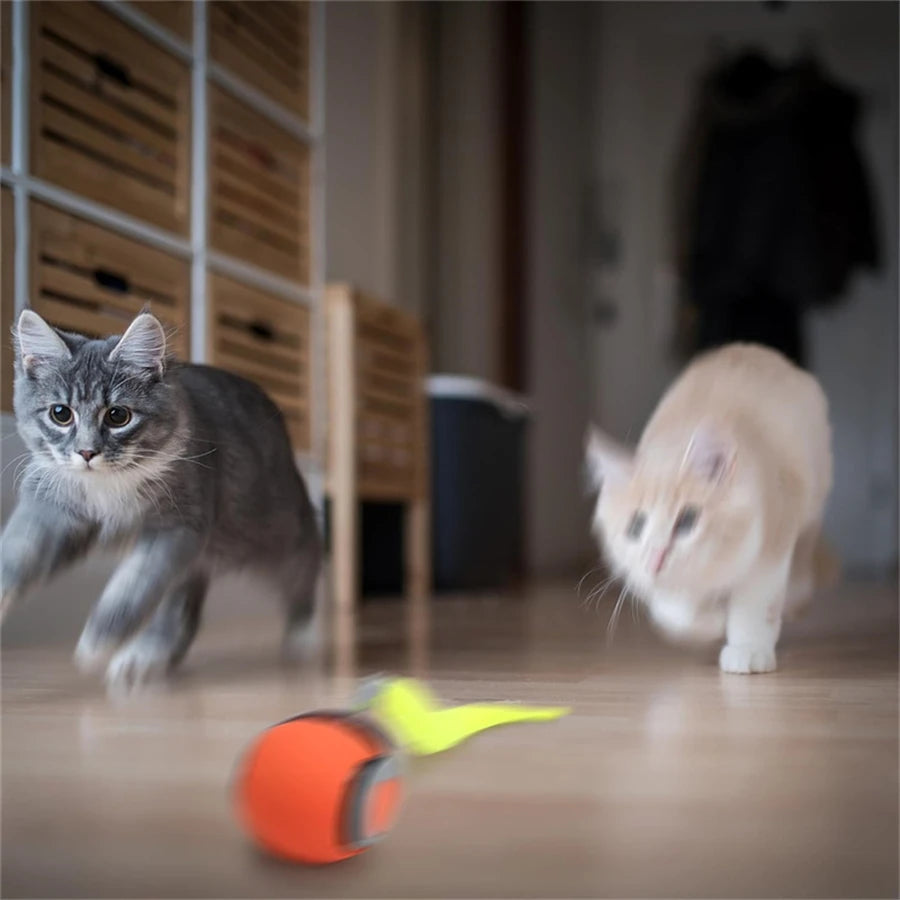 Interactive Cat Toy Ball Automatic Rolling Pet Toy USB