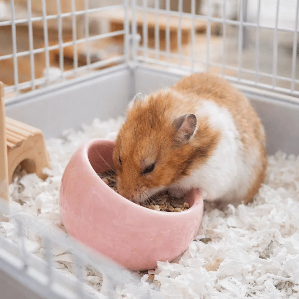 Ceramic Hamster Food Bowl Non-Slip Slanted-Edged Pet Feeding Bowl