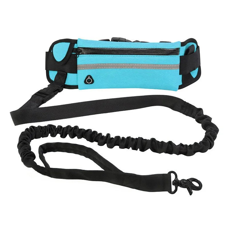 Adjustable Hands-Free Bungee Dog Leash