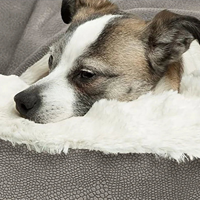 Orthopedic Bed For Dogs Puppy Cat Winter House Warm Mat Cushion