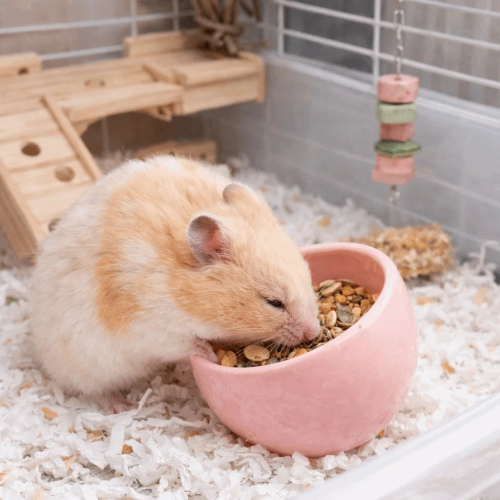 Ceramic Hamster Food Bowl Anti-Rollover Non-Slip Pet Feeding Bowl