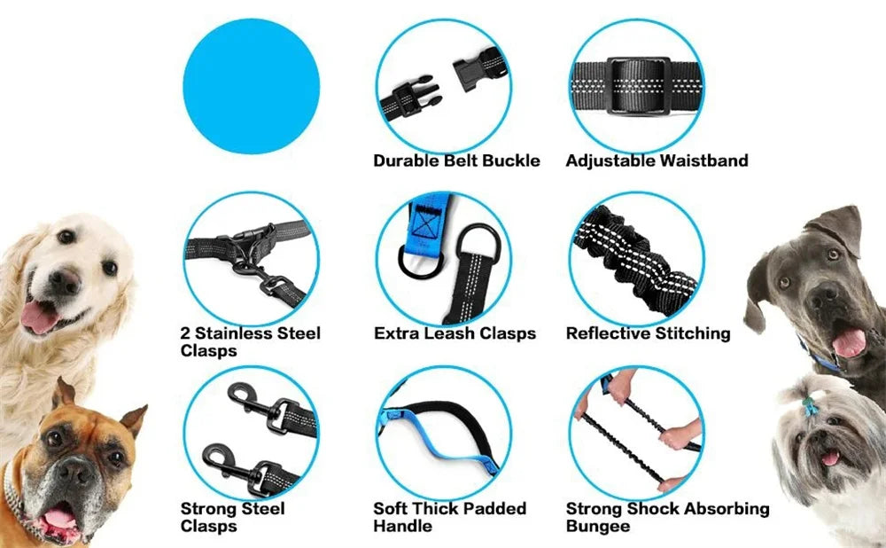Adjustable Hands-Free Bungee Dog Leash