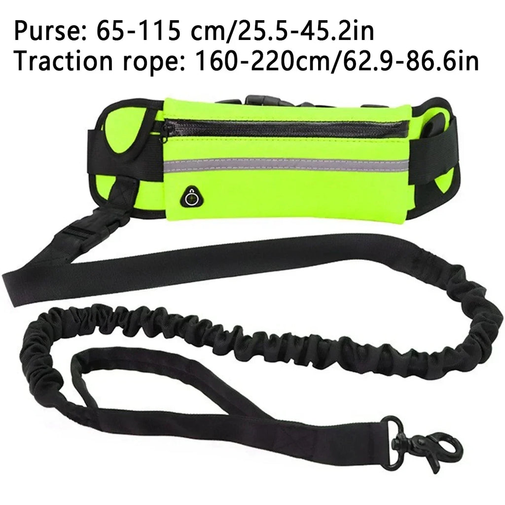 Adjustable Hands-Free Bungee Dog Leash