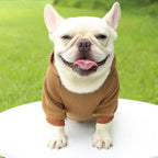 Autumn Winter Pet Dog Hoodies Warm Coat Sweater Small Medium Dog