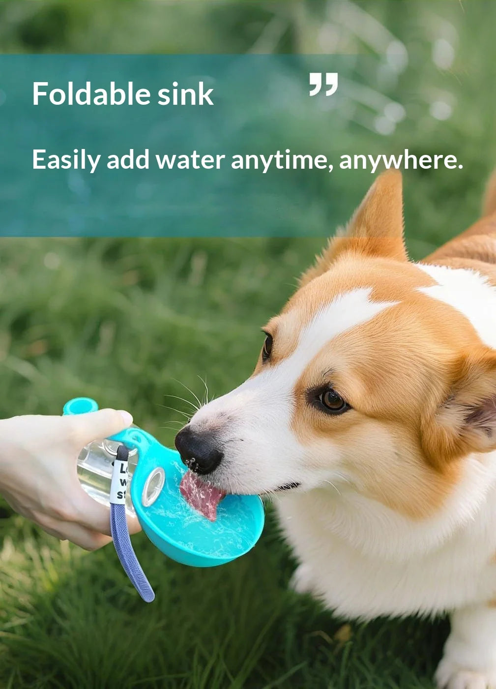 2-In-1 Portable Dog Water Bottle Foldable Silicone Dog Bowl