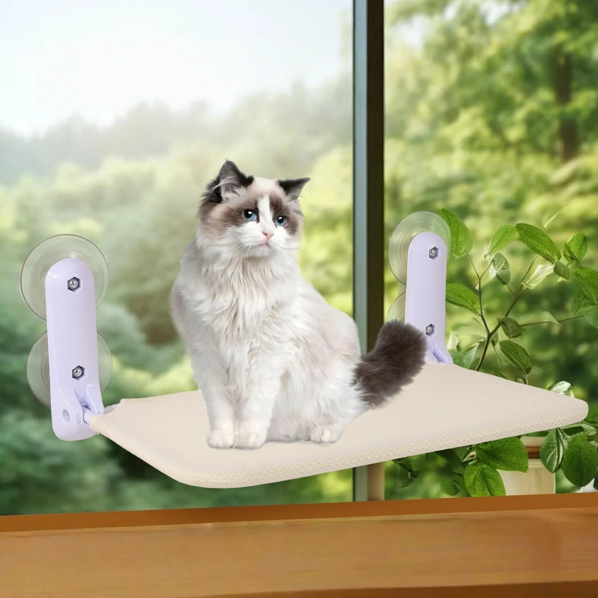 Cat Suction Cup Hammock Double Suction Cup Can Be Removed and