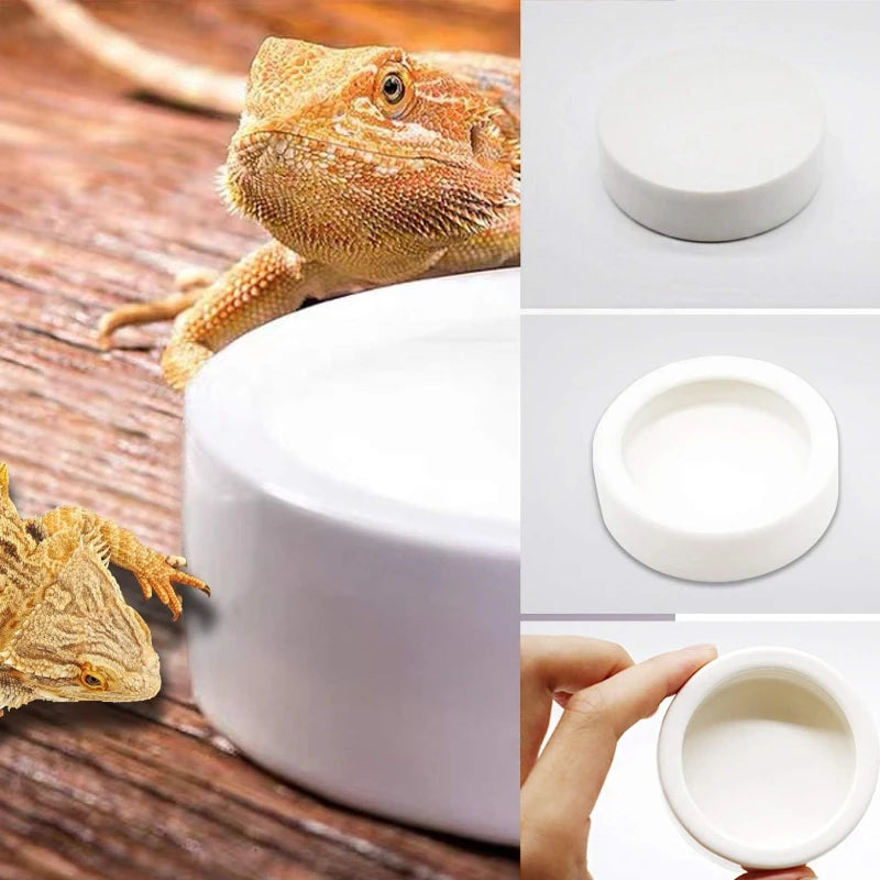 Reptile Water Food Bowl Anti-Escape Ceramic Feeder Dish for Lizard