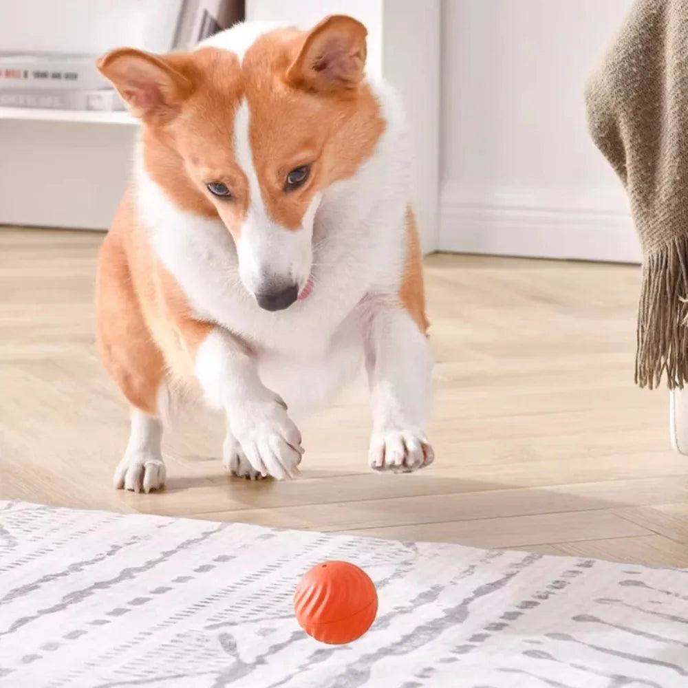 Pet Toy Ball Automatic Moving Dog Toy Ball Smart Usb Jumping