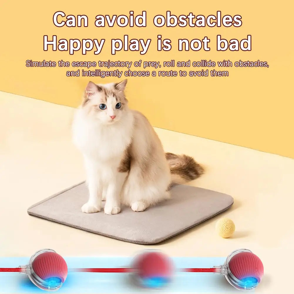 Cat Interactive Ball Toys Automatic Rolling Ball Faux Tail