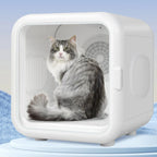 Fully Automatic Smart Pet Drying Box Large Capacity Pet Smart
