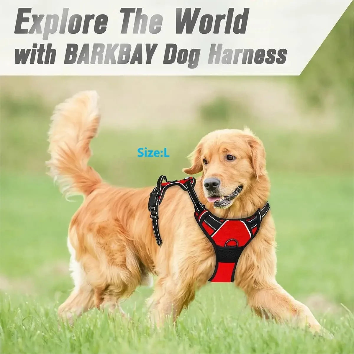 Dog Collars Harness Big Vests Leash Pet Shop Everything For Dogs