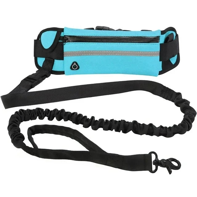 Adjustable Hands-Free Bungee Dog Leash