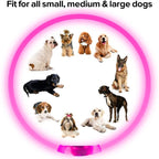 USB Rechargeable Fiber Optic Collar Pet Dog LED Light Collar