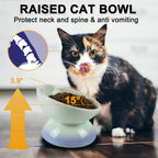 Ceramic Elevated Cat Bowls Tilted Cat Food Bowl Dish Pet Feeder