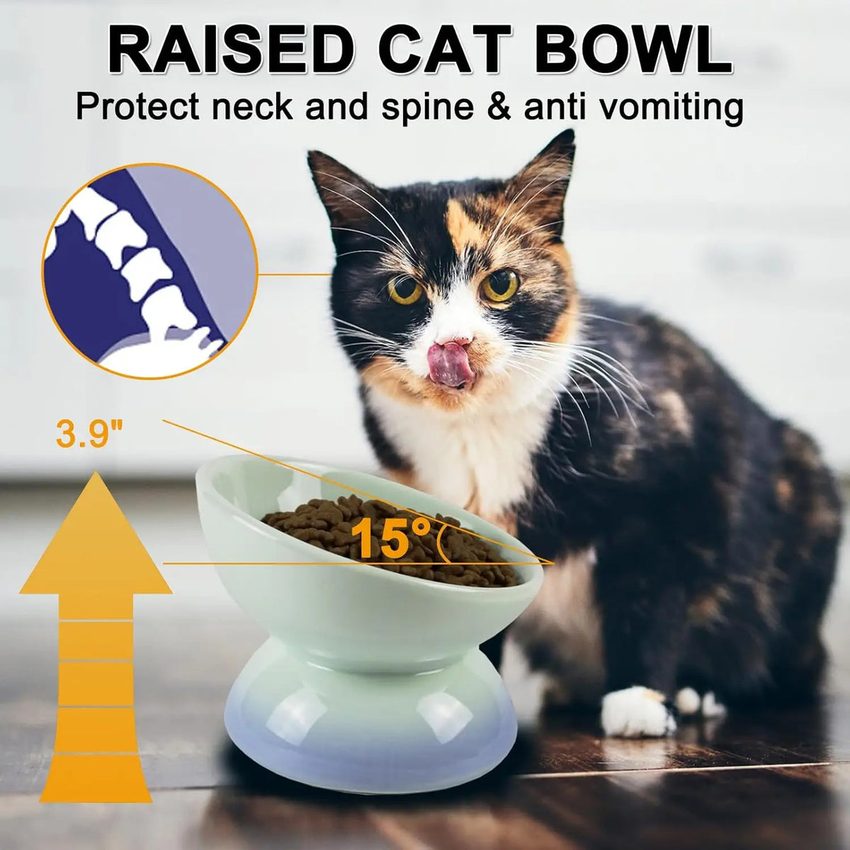 Ceramic Elevated Cat Bowls Tilted Cat Food Bowl Dish Pet Feeder