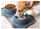 Stainless Steel Pet Dog Feeder Silicone Anti-Spill Cats Dog Double