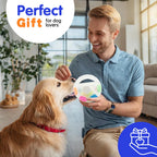 New Football Tennis Ball Shaped Pet Dog Toys, Durable Teething