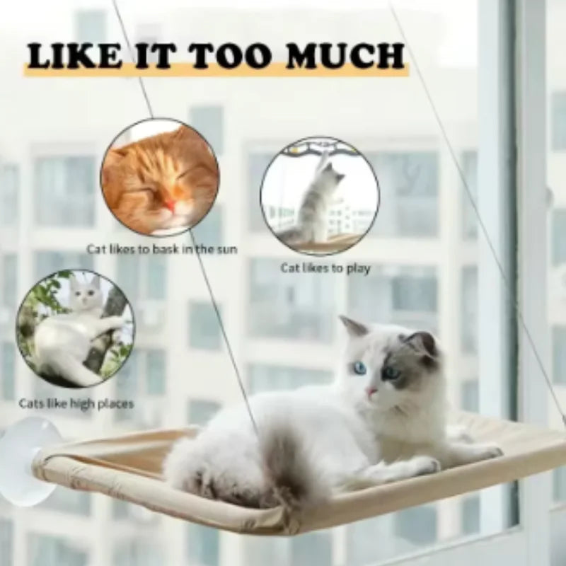 20Kg Capacity Cat Hammock with Rock Climbing Frame Comfortable