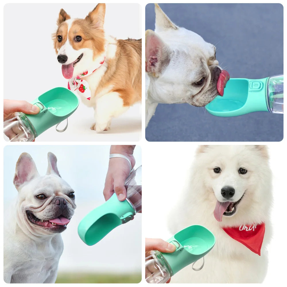 Leakproof Dog Water Bottle for Small & Large Breeds