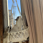 Winter Pet Hammock Cat Swing Hand Woven Cotton Rope Cats Hanging