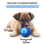 Dog Toy Ball Interactive Rolling Ball Auto Moving Dog Toy Two