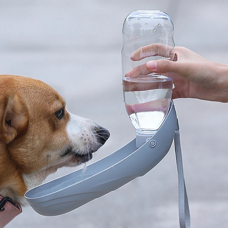 Portable Dog Water Bottle For Small Large Dogs Foldable