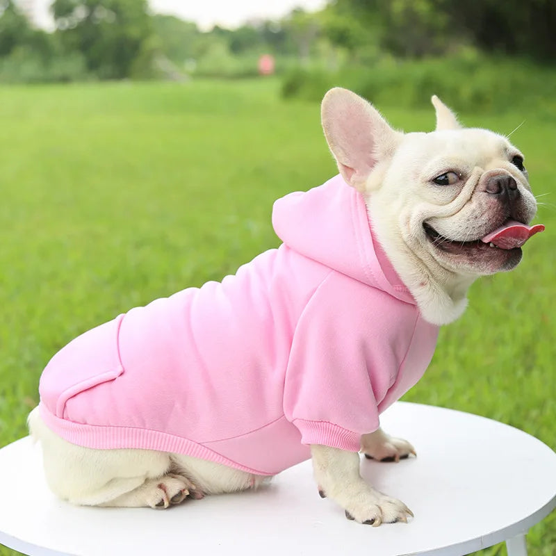 Autumn Winter Pet Dog Hoodies Warm Coat Sweater Small Medium Dog