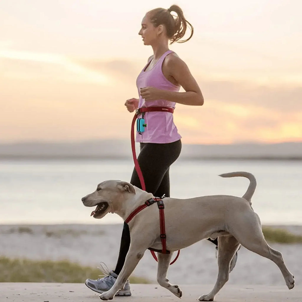 Portable Dog Waste Bag Dispenser & Holder
