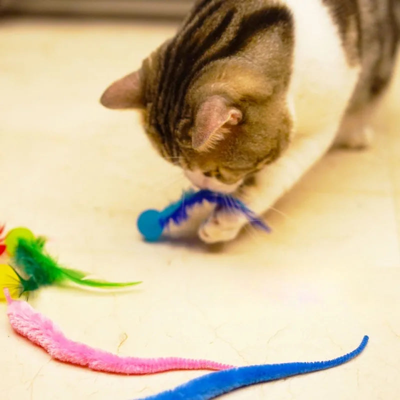 Cat Interactive Toy Tickle Cat Colorful Bouncing Ball