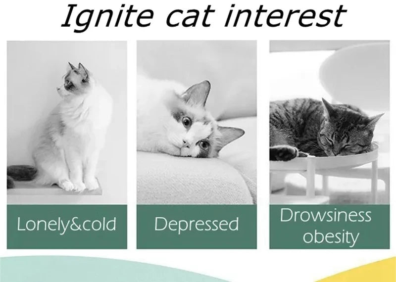 Interactive Cat Toy for Kitten