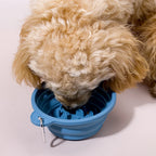 Collapsible Pet Bowl Outdoor Portable: Silicone Slow Feeder Bowl