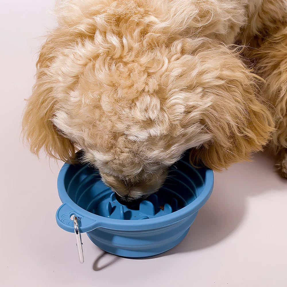 Collapsible Pet Bowl Outdoor Portable: Silicone Slow Feeder Bowl