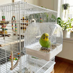 Transparent Bird Bath Cage Splash Proof Food Holder Box Bird
