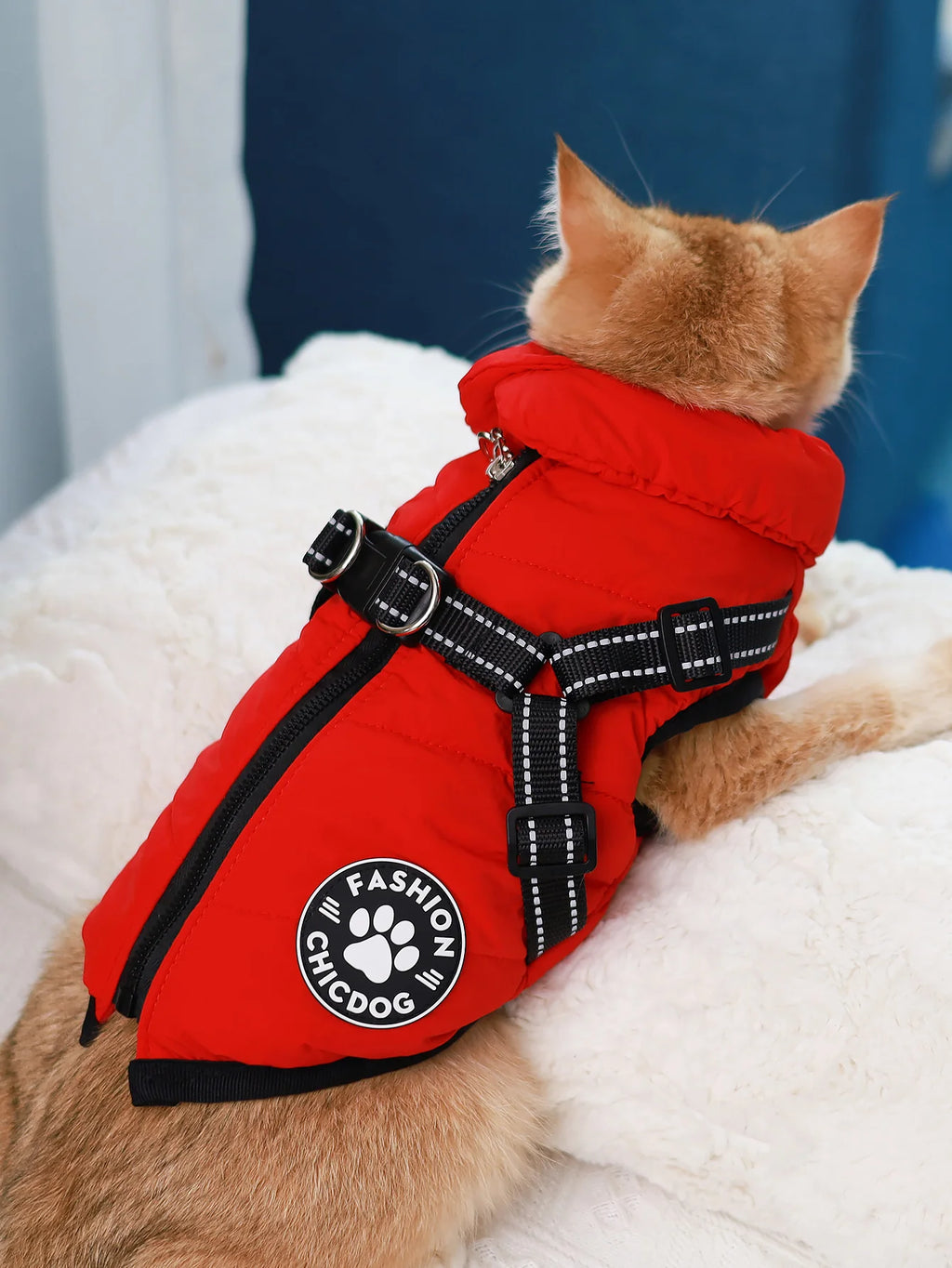Comes with a Traction Ring, Pet Coat, Jacket, Three-Layer Thick