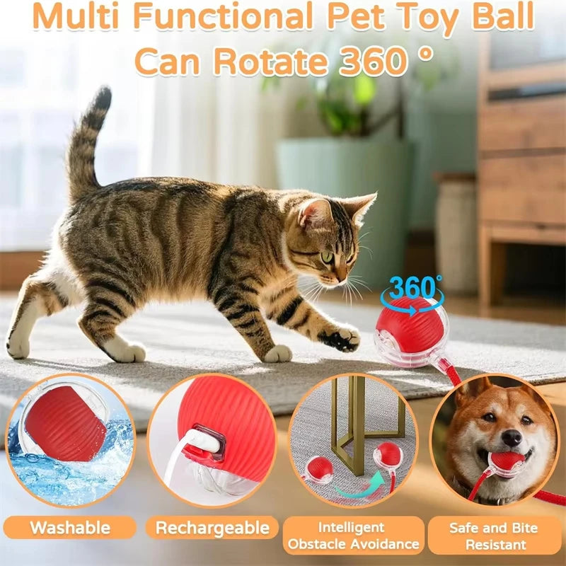 New Cat Interactive Ball Toy Automatic Rolling Ball Faux Tail